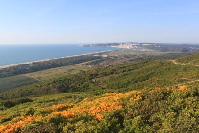 Avo Das Bolachas 10 Nazaré Exterior foto